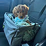 puppy, dog, pet_carrier, car_seat, blanket, blue_outfit, brown_fur, cute, cozy, indoors, vehicle_interior, seatbelt, mesh_pocket, comfort, animal, young_dog, fur, canine, car, travel