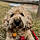 Winston
