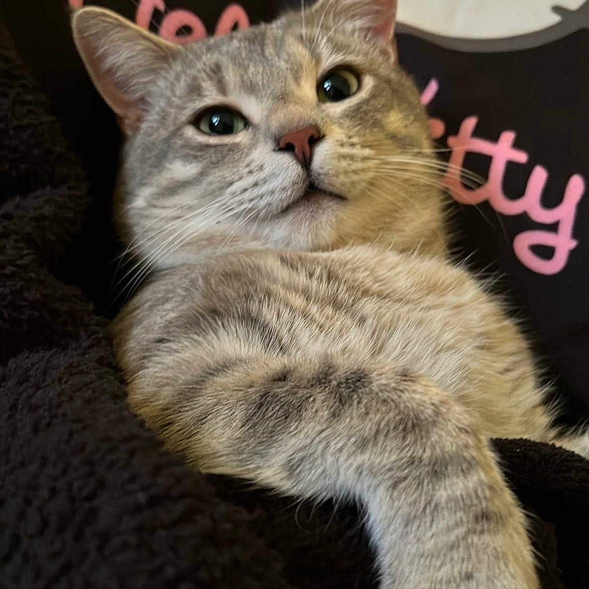 Gary