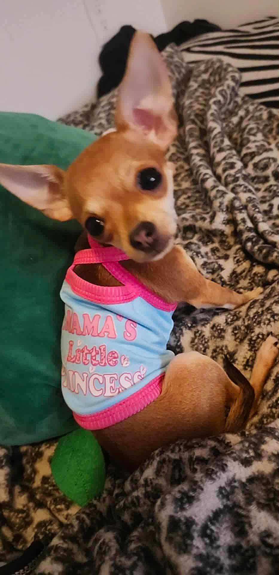 Princess