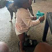 Harmony is registered to the contest to win money with this photo: toddler, child, indoor, carpet, sippy_cup, diaper, pink_clothing, black_sandal, nike, dog, blue_collar, table, furniture, household, floor, person, barefoot, living_room, pet, casual