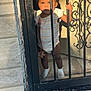 Harmony is registered to the contest to win money with this photo: toddler, child, baby, gate, metal_bars, onesie, socks, pacifier, sunlight, shadow, doorway, curious, standing, indoor, expression, portrait, young_child, home, candid, person