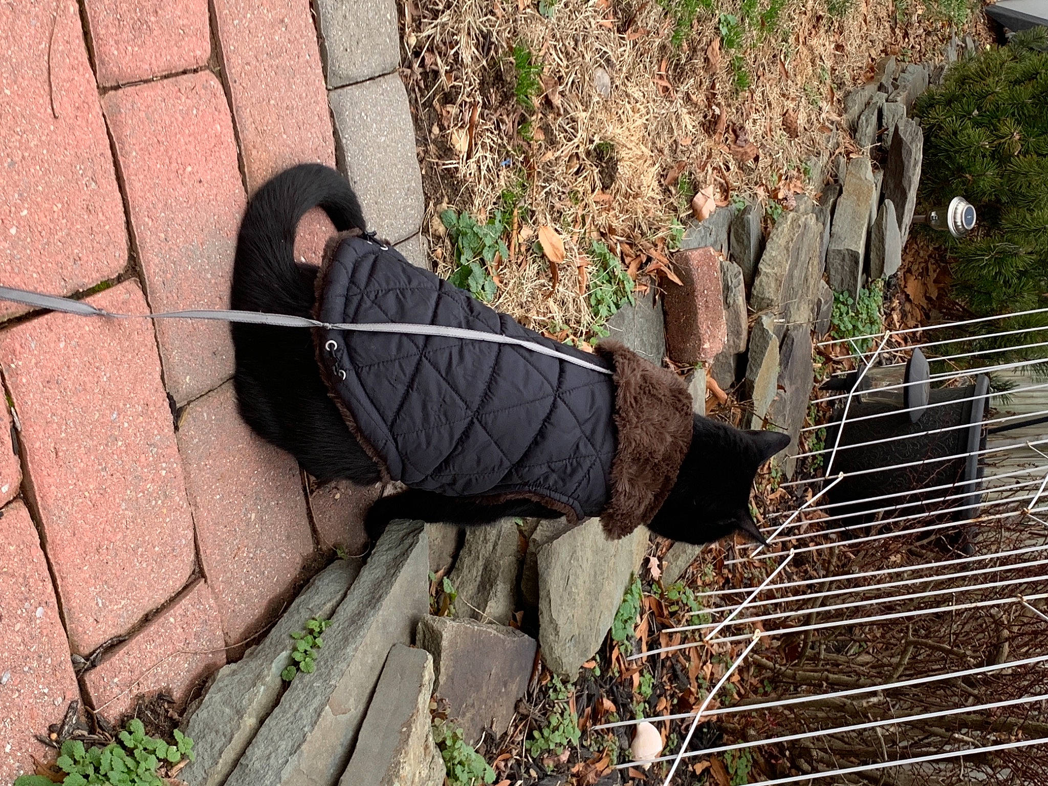 Salem joined the competition — help win amazing prizes!