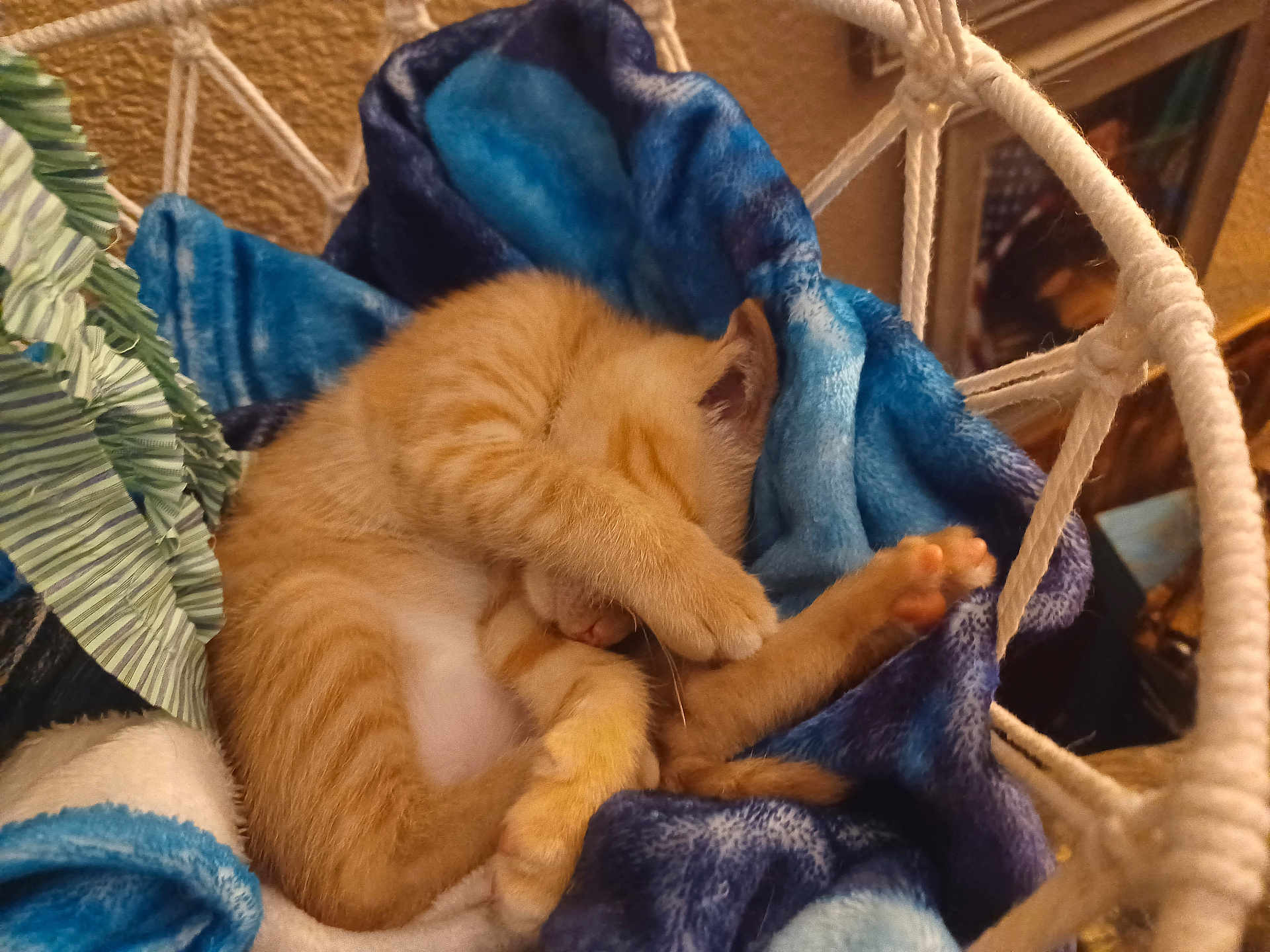 Chicken Nugget