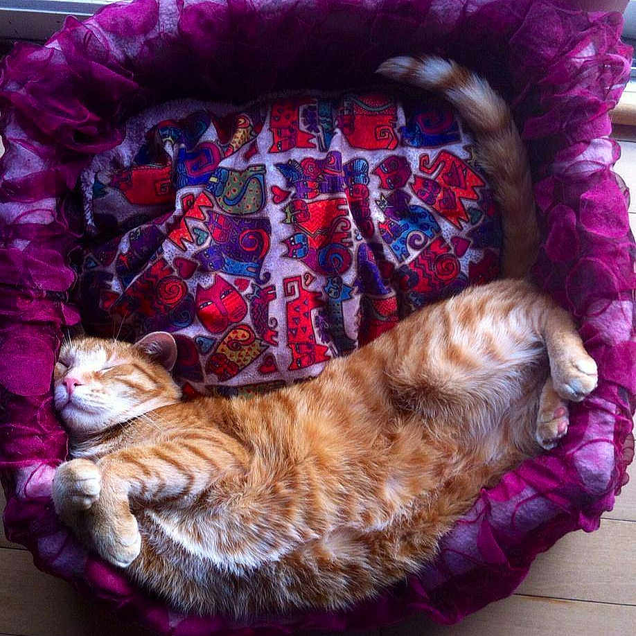 Captain Harkness is registered to the contest to win money with this photo: