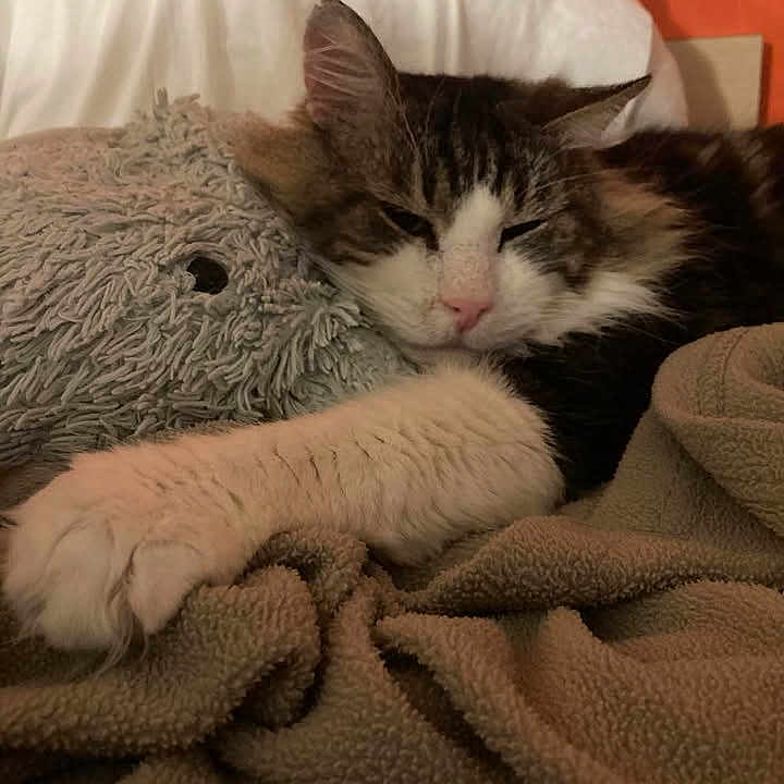 Milo