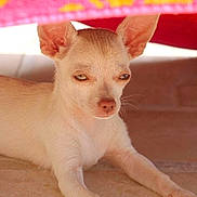 Géraldine Buellet a rejoint le concours — aidez-le/la à gagner de superbes lots !