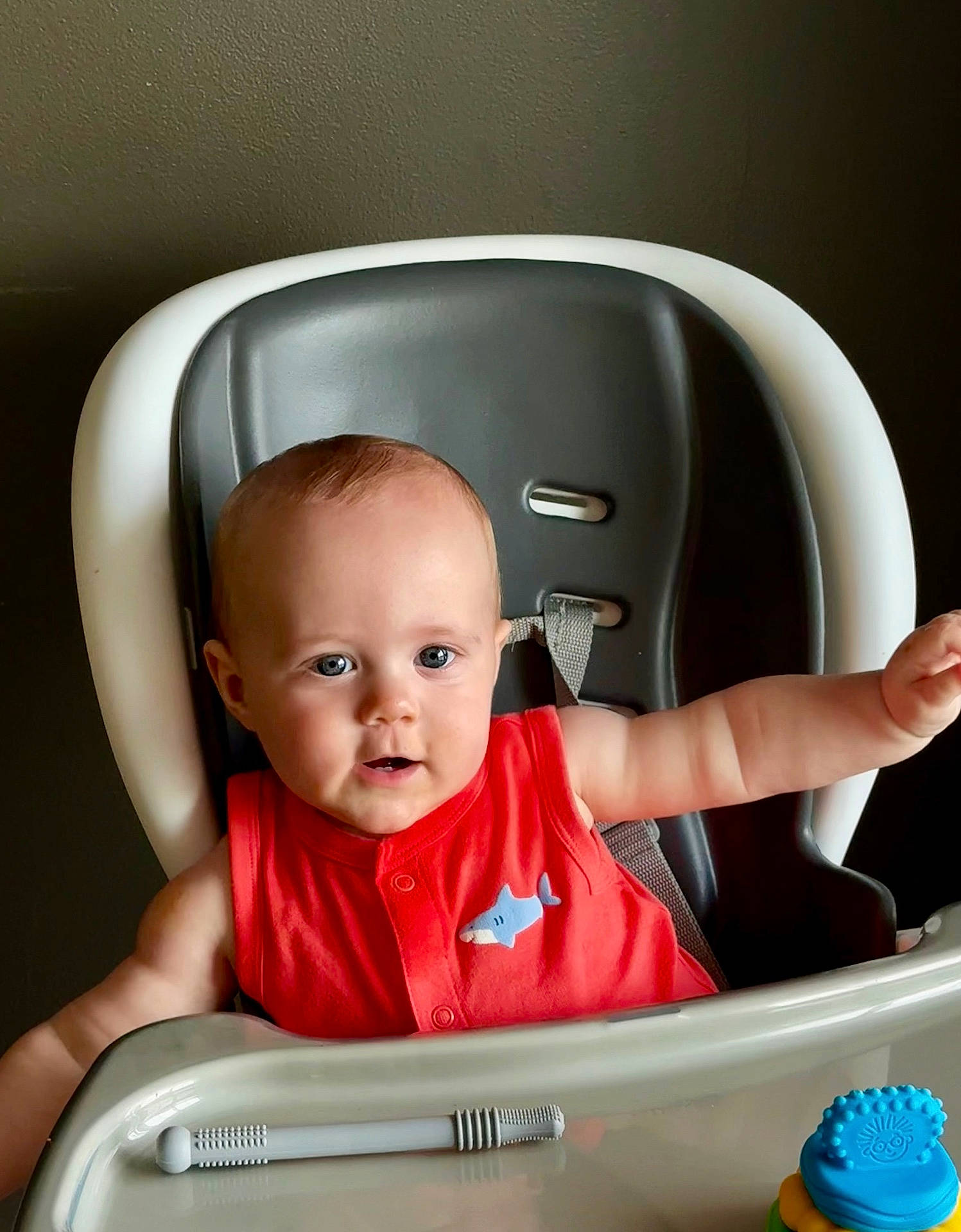 Colsen joined the competition — help win amazing prizes! arm, baby, blue_eyes, child, curious, expression, face, furniture, gray, high_chair, indoor, modern, plastic, red_clothing, seated, shark_applique, skin, toy, tray, white