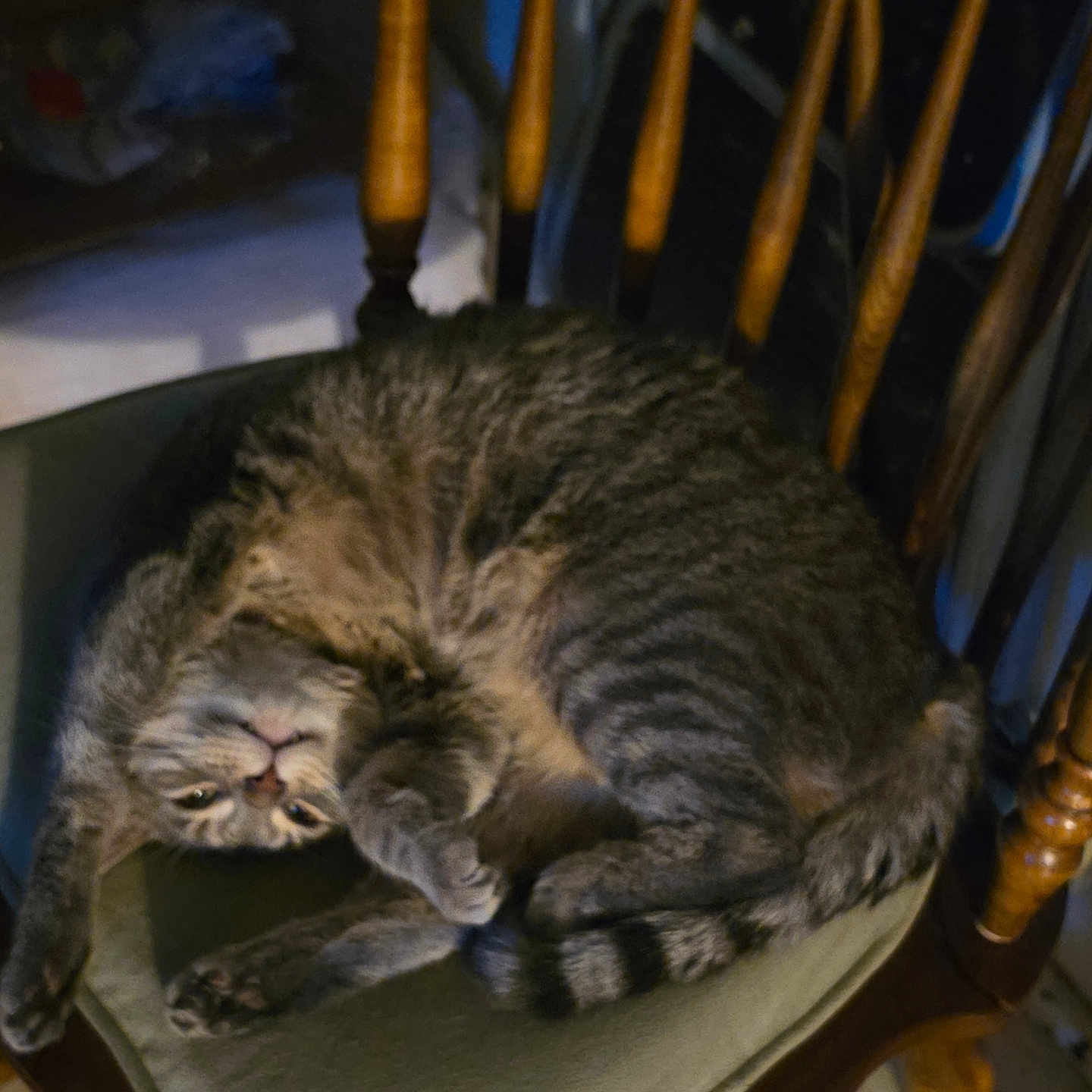 Tuna Two