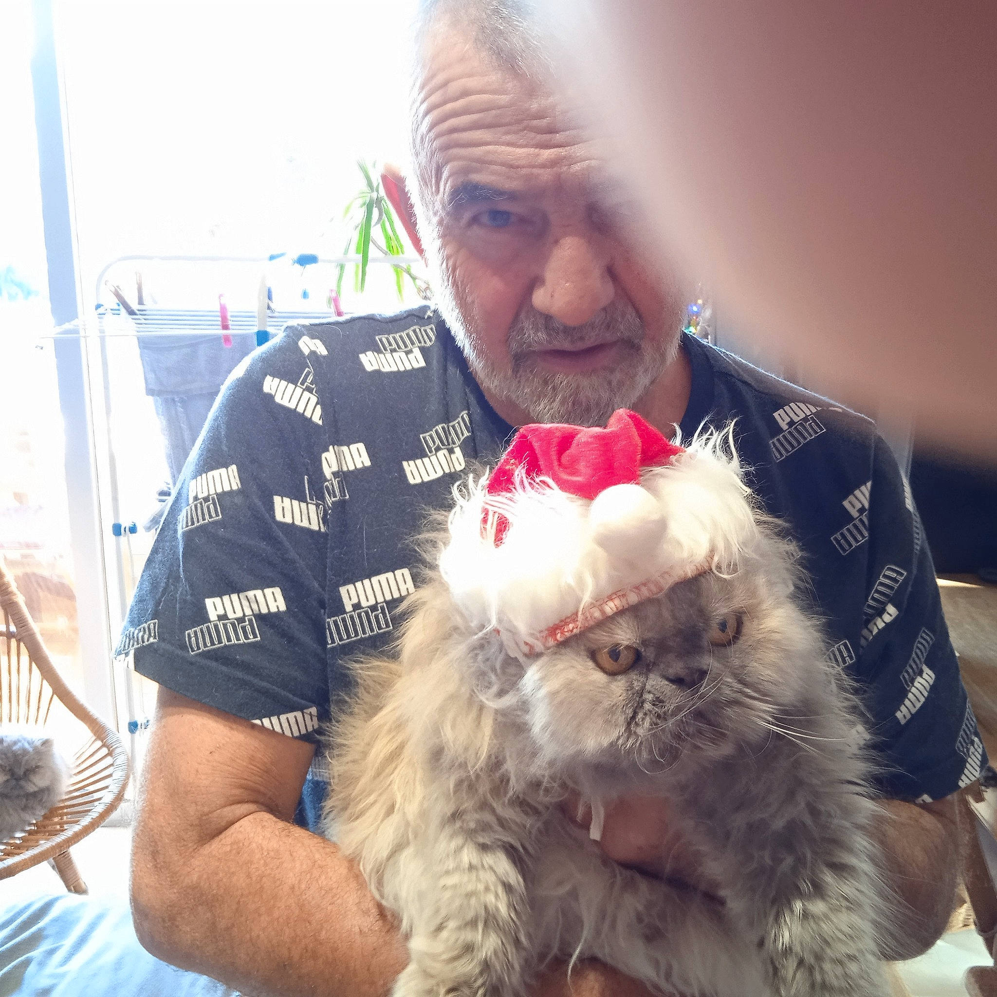 Pupuce participe au concours pour gagner de l'argent avec cette photo : beard, canidae, christmas, christmas_eve, companion_dog, event, eyewear, facial_hair, felidae, fur, happy, holiday, lap, moustache, santa_claus, selfie, sitting, small_to_medium_sized_cats, vision_care, whiskers