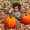 autumn_leaves, child, curly_hair, cute, fall, grass, green_pants, harvest, leaf, nature, necklace, orange, outdoor, playful, pumpkin, seasonal, sitting, sneakers, striped_shirt, toddler