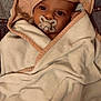 Mélyanah participe au concours pour gagner de l'argent avec cette photo : baby, towel, pacifier, hood, blanket, infant, face, wrapped, cozy, soft, cute, child, newborn, lying, looking, indoors, portrait, skin, expression, resting