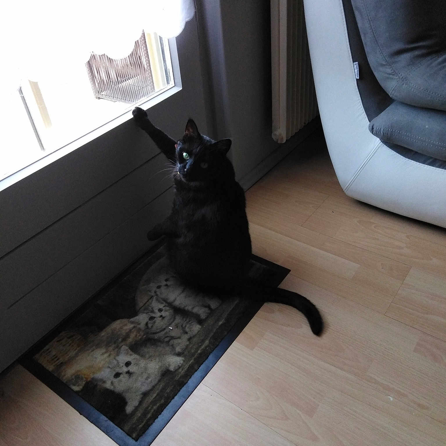 Mimie