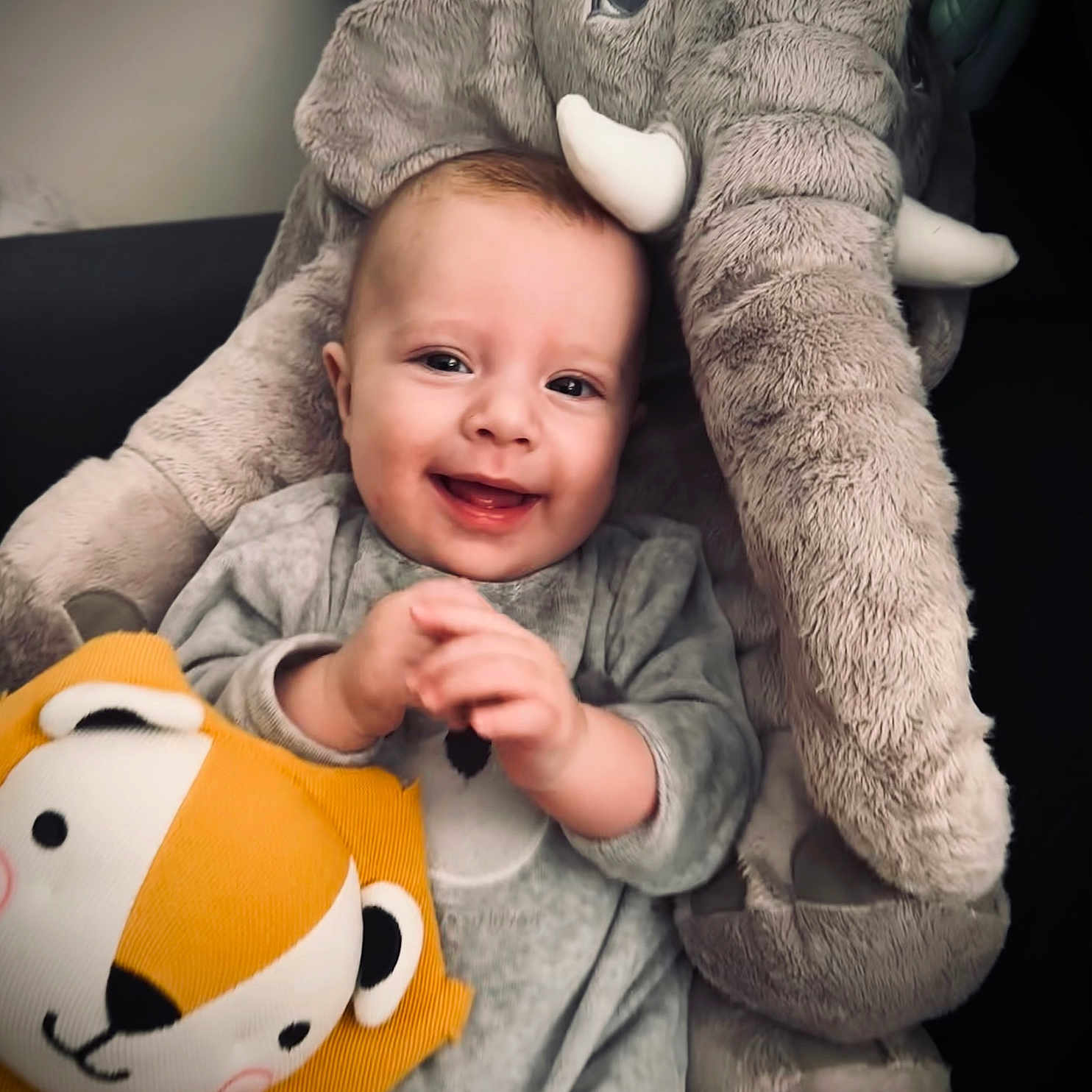 Gabriel participe au concours pour gagner de l'argent avec cette photo : animal, baby, babylaughing, bear, bodypart, couch, cushion, face, finger, hand, happy, head, homedecor, laughing, person, photography, plush, portrait, smile, toy