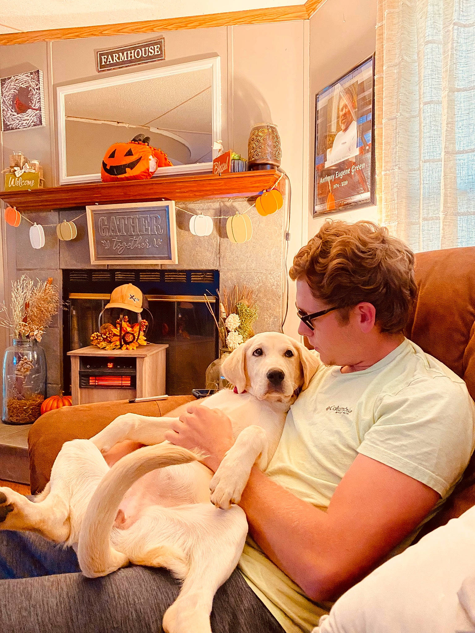 Lulu is registered to the contest to win money with this photo: canidae, carnivore, comfort, companion_dog, couch, dog, dog_breed, fawn, home_appliance, interior_design, kitchen_appliance, living_room, picture_frame, pillow, shelf, sporting_group, stuffed_toy, sunglasses, toy, yellow