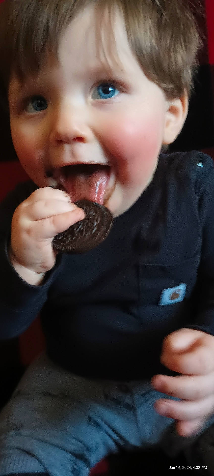 Wyatt joined the competition — help win amazing prizes! baby, bodypart, candy, chocolate, cookie, cream, dessert, eating, face, finger, food, hand, head, icecream, icing, mouth, person, photography, portrait, sweets