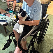 Kovu joined the competition — help win amazing prizes! elderly_person, wheelchair, cat, black_and_white_cat, indoor, living_room, couch, person, sitting, slippers, table, towel, cup, newspaper, carpet, tattoo, casual_clothing, relaxing, holding_pet, home