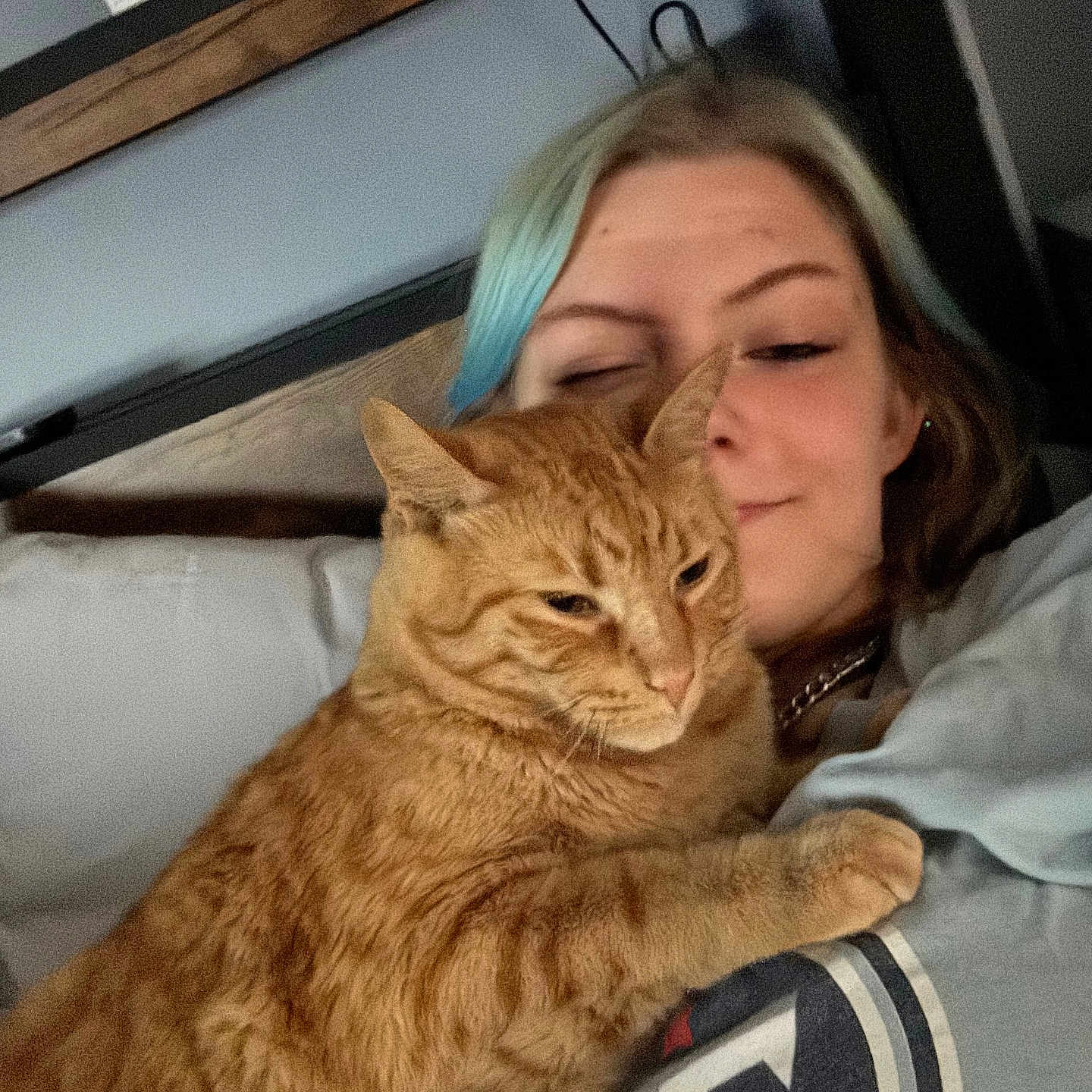 Simba joined the competition — help win amazing prizes! bed, blanket, casual, cat, chain_necklace, closeup, comfort, cuddling, feline, furniture, ginger_cat, hair, human, indoor, person, pet, portrait, relaxing, resting, smile