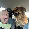 child, dog, car_interior, seat, happy, playful, tongue_out, blond_hair, pet, friendship, smiling, backseat, casual_clothing, daylight, window, seatbelt, headrest, furry, animal, cute