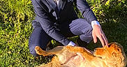 Pepper is registered to the contest to win money with this photo: animal, casual, crouching, dog, friendship, garden, golden_retriever, grass, greenery, happy, leisure, man, nature, outdoor, petting, portrait, relaxation, summer, sunlight, young_adult