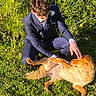 animal, casual, crouching, dog, friendship, garden, golden_retriever, grass, greenery, happy, leisure, man, nature, outdoor, petting, portrait, relaxation, summer, sunlight, young_adult