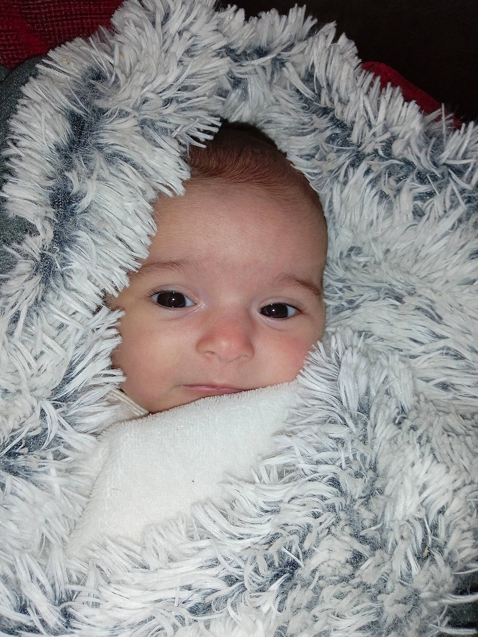 Katalina a rejoint le concours — aidez-le/la à gagner de superbes lots ! art, cheek, child, christmas_ornament, conifer, event, eye, eyebrow, face, fashion_accessory, fur, fur_clothing, happy, head, headgear, iris, natural_material, person, skin, toddler