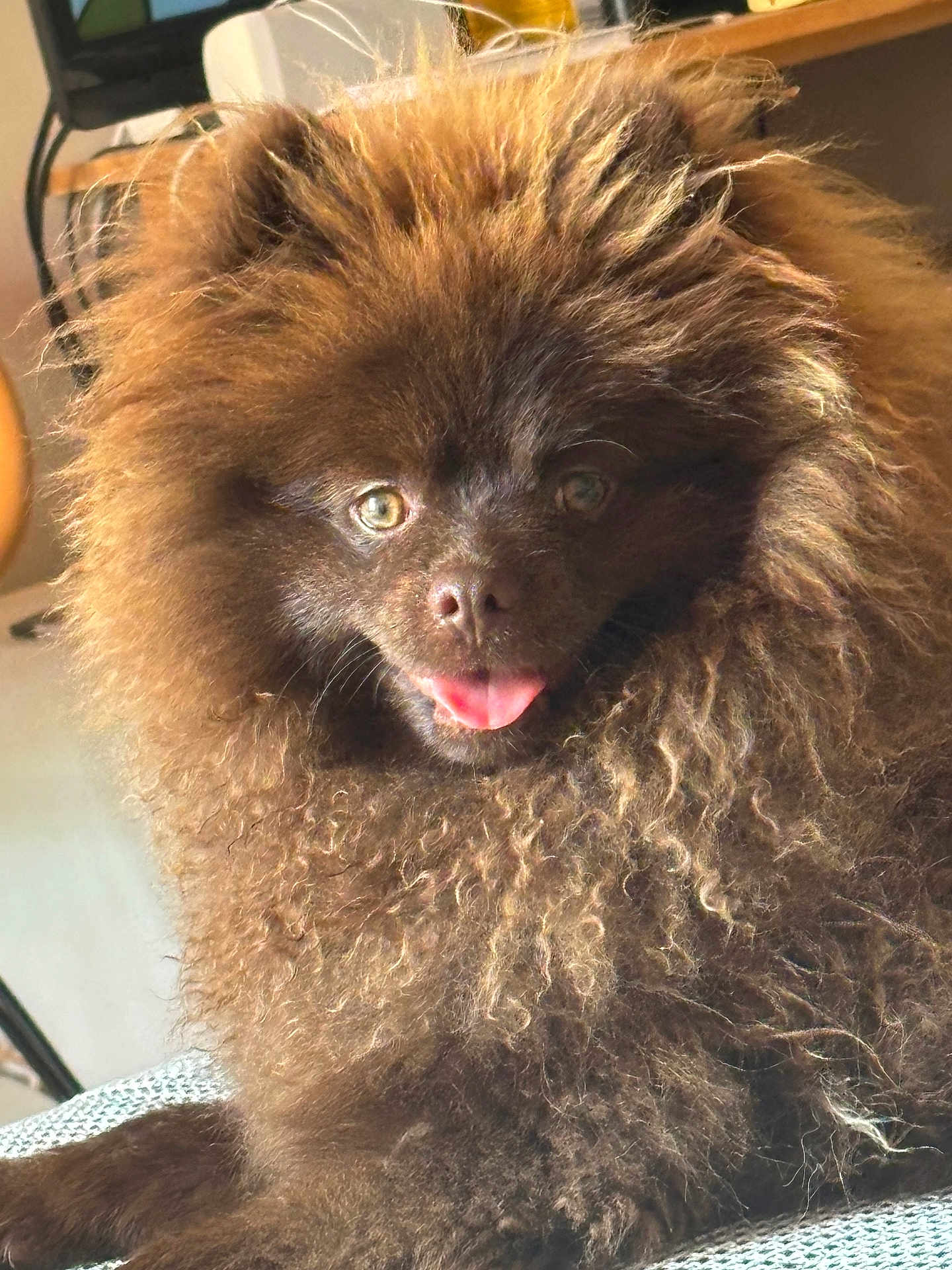 Choco