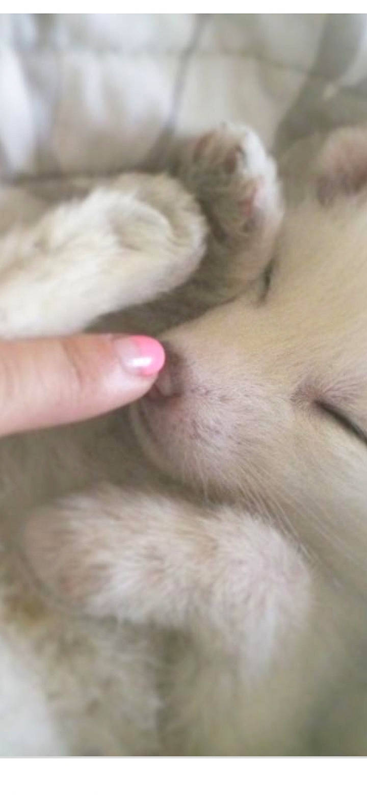 Maetika a rejoint le concours — aidez-le/la à gagner de superbes lots !