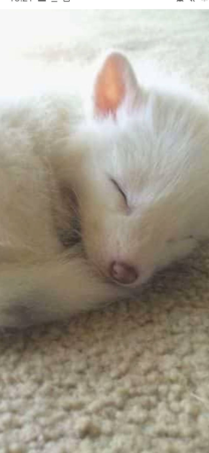 Maetika participe au concours pour gagner de l'argent avec cette photo :