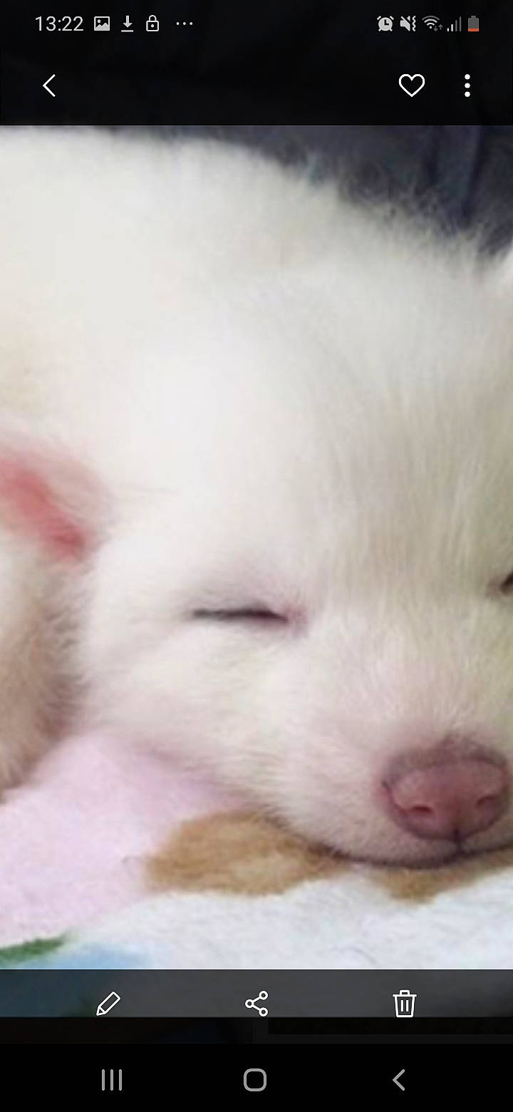 Maetika participe au concours pour gagner de l'argent avec cette photo :