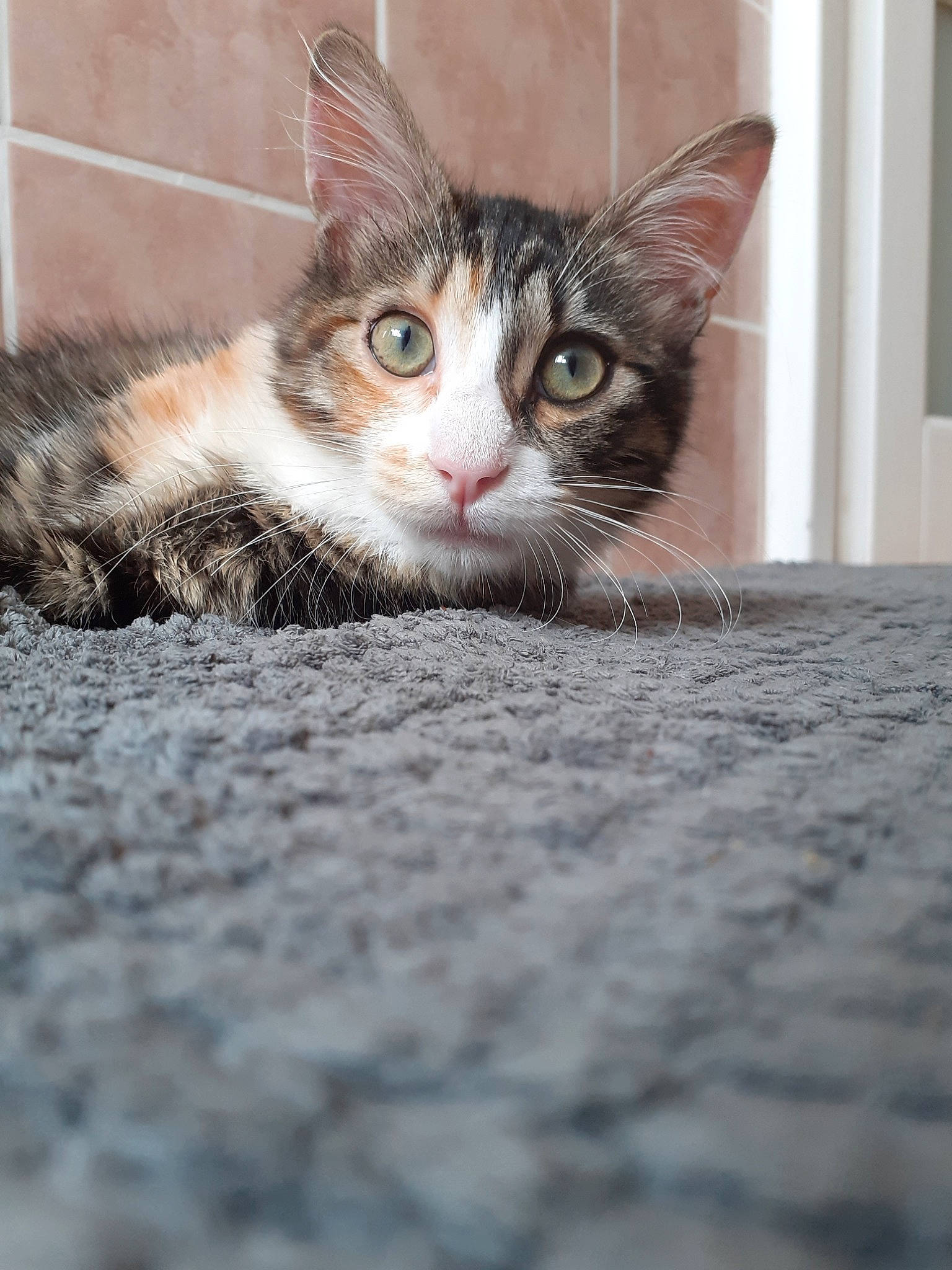 Baboune a rejoint le concours — aidez-le/la à gagner de superbes lots !