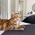 Sabina H.