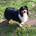Geoffrey V.