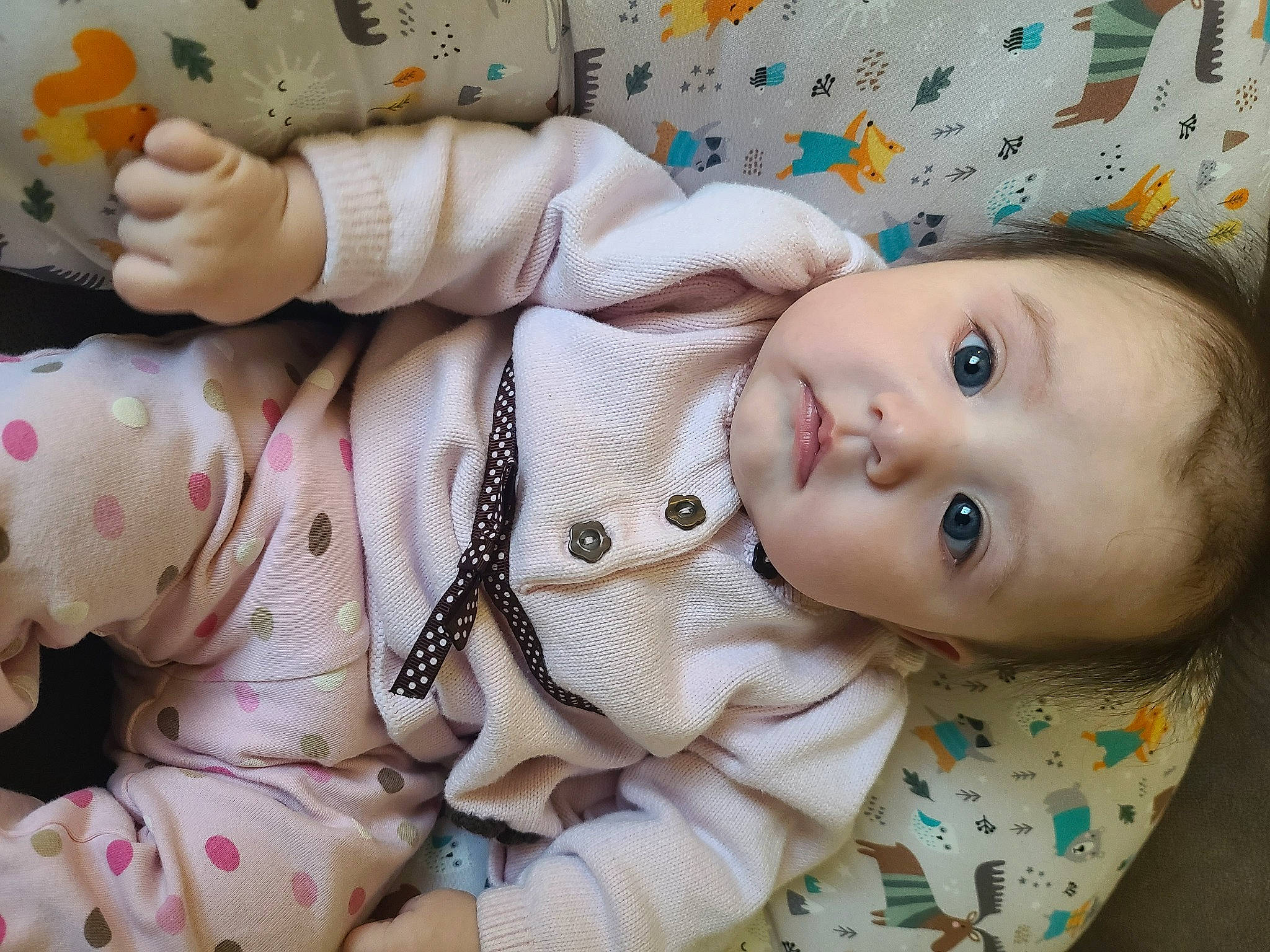 Elaine is registered to the contest to win money with this photo: baby, baby_products, baby_toddler_clothing, carmine, cheek, child, doll, eye, eyelash, head, nose, pattern, person, sitting, skin, sleeve, textile, toddler, toy, white