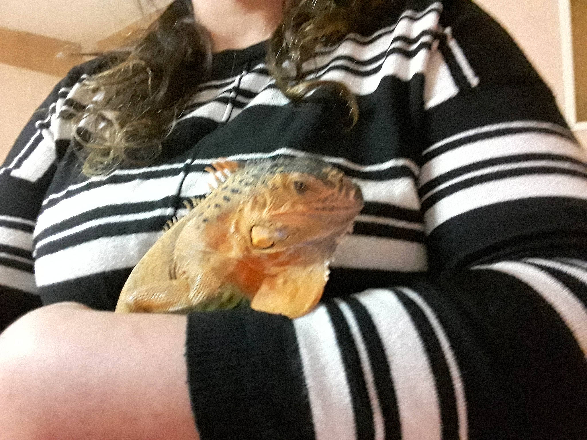 La Chose a rejoint le concours — aidez-le/la à gagner de superbes lots ! arm, black_hair, blond, hair, long_hair