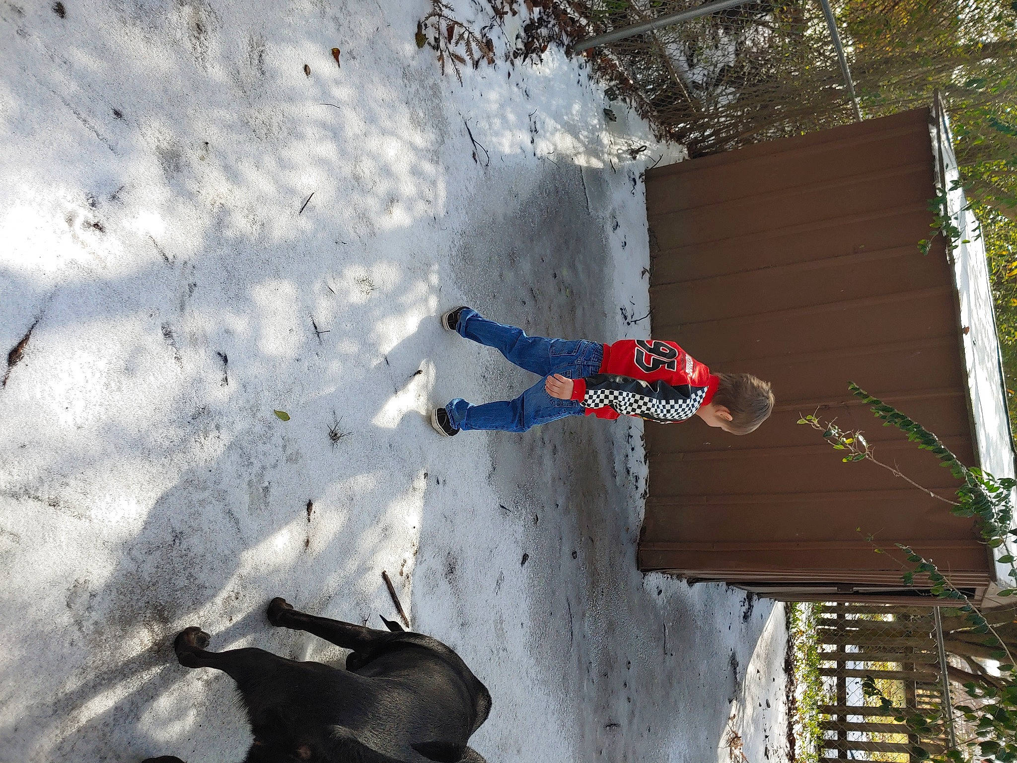 Cooper joined the competition — help win amazing prizes! adventure, carmine, extreme_sport, freezing, fun, leisure, light, line, recreation, shadow, slope, snow, sport_climbing, tree, window, winter