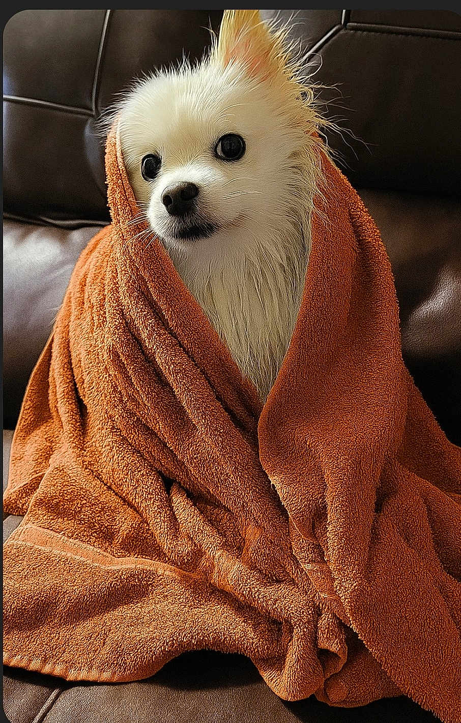 Bailey