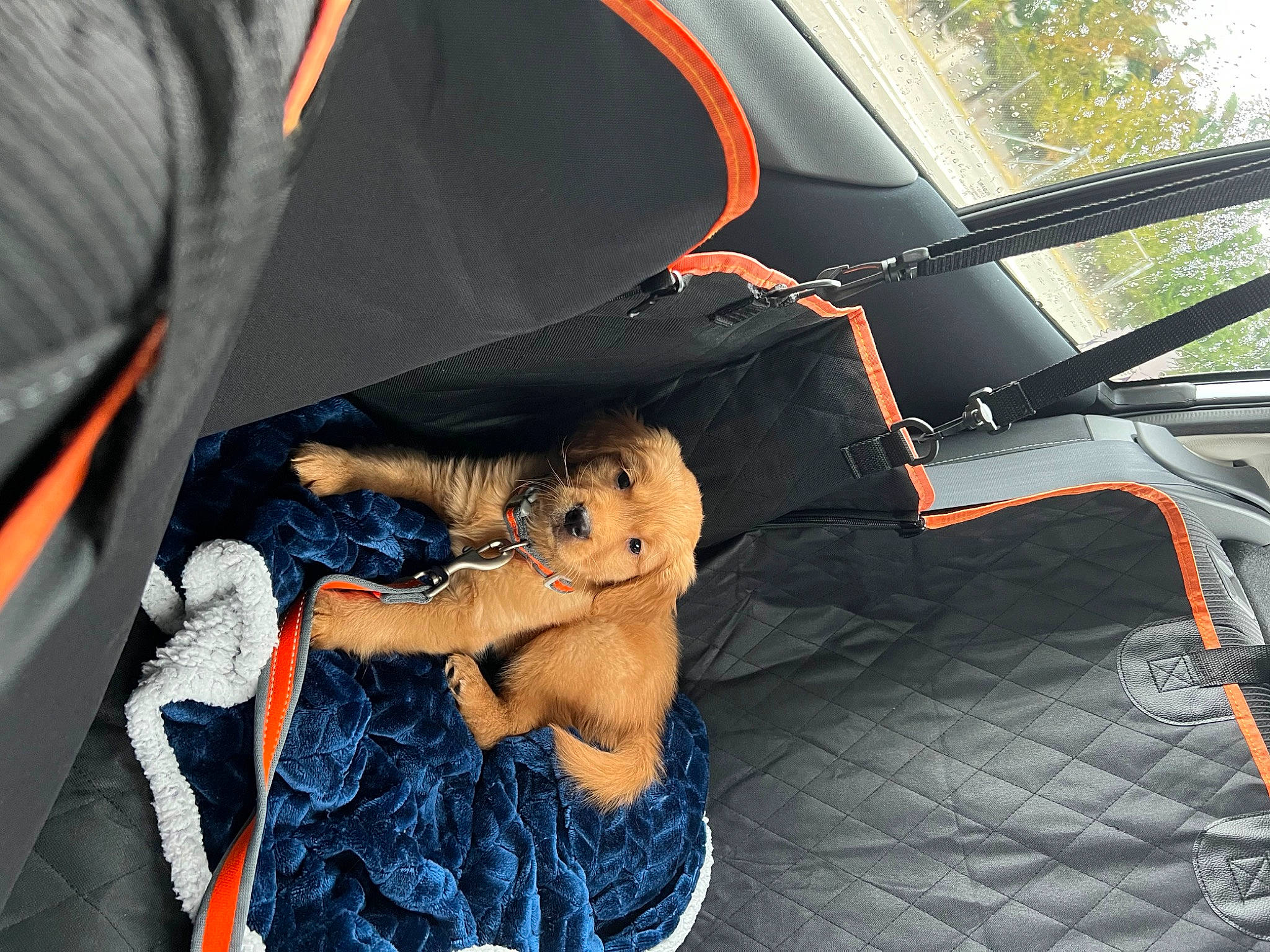 Tengen joined the competition — help win amazing prizes! auto_part, automotive_design, automotive_exterior, automotive_lighting, automotive_tire, automotive_wheel_system, bumper, car, car_seat, car_seat_cover, hood, motor_vehicle, personal_luxury_car, steering_wheel, tints_and_shades, toy, tree, trunk, vehicle, vehicle_door