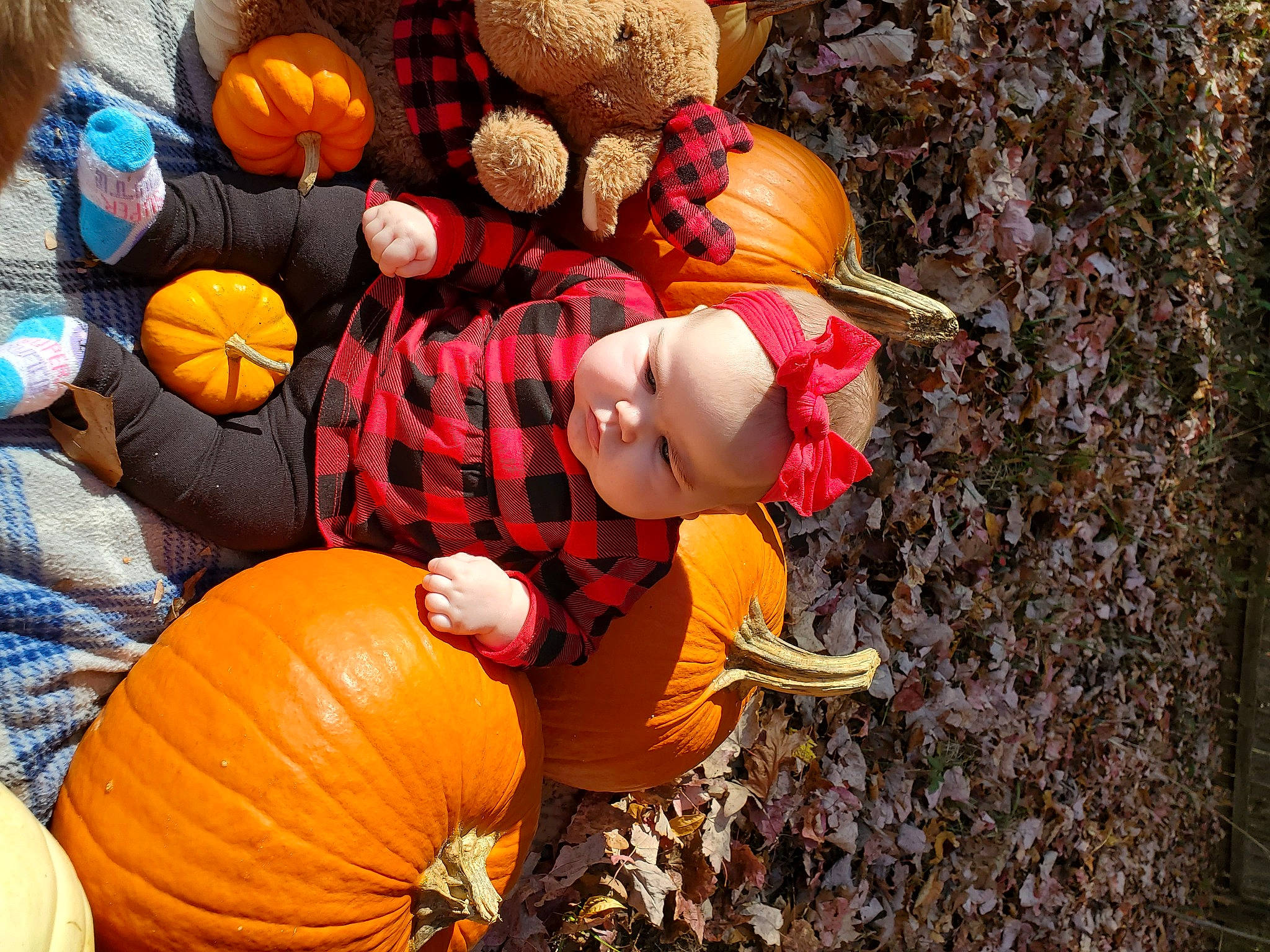 Lilyanne is registered to the contest to win money with this photo: _and_melon_family, _gourd, art, calabaza, cucumber, cucurbita, gourd, grass, hat, headwear, leaf, local_food, natural_foods, orange, people_in_nature, person, plant, pumpkin, squash, toddler
