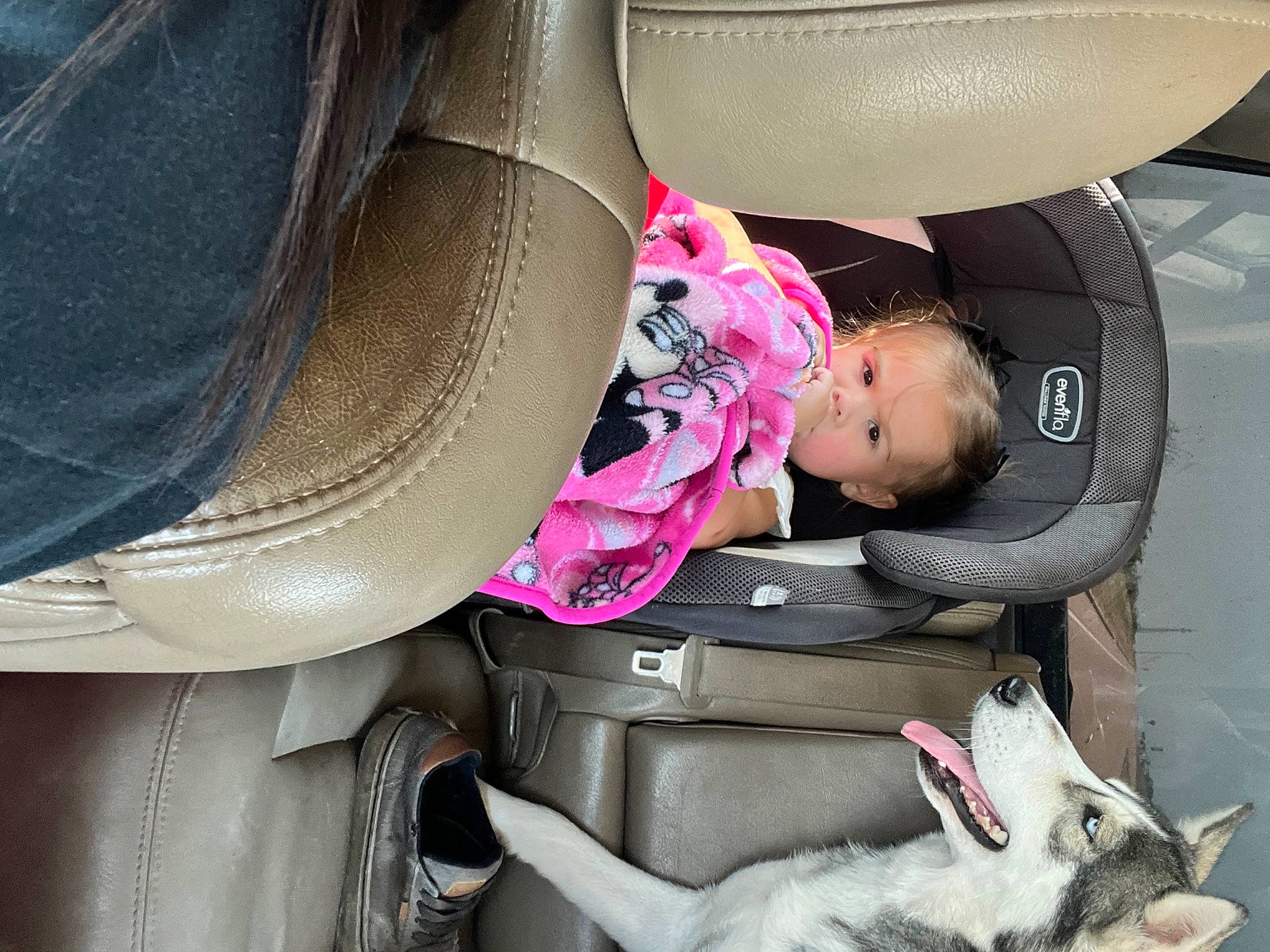 Hensley is registered to the contest to win money with this photo: auto_part, automotive_design, automotive_exterior, baby_carriage, baby_in_car_seat, baby_products, car, car_seat, car_seat_cover, comfort, family_car, head_restraint, motor_vehicle, person, photograph, snapshot, toddler, vehicle, vehicle_door, white