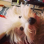 Happy a rejoint le concours — aidez-le/la à gagner de superbes lots !