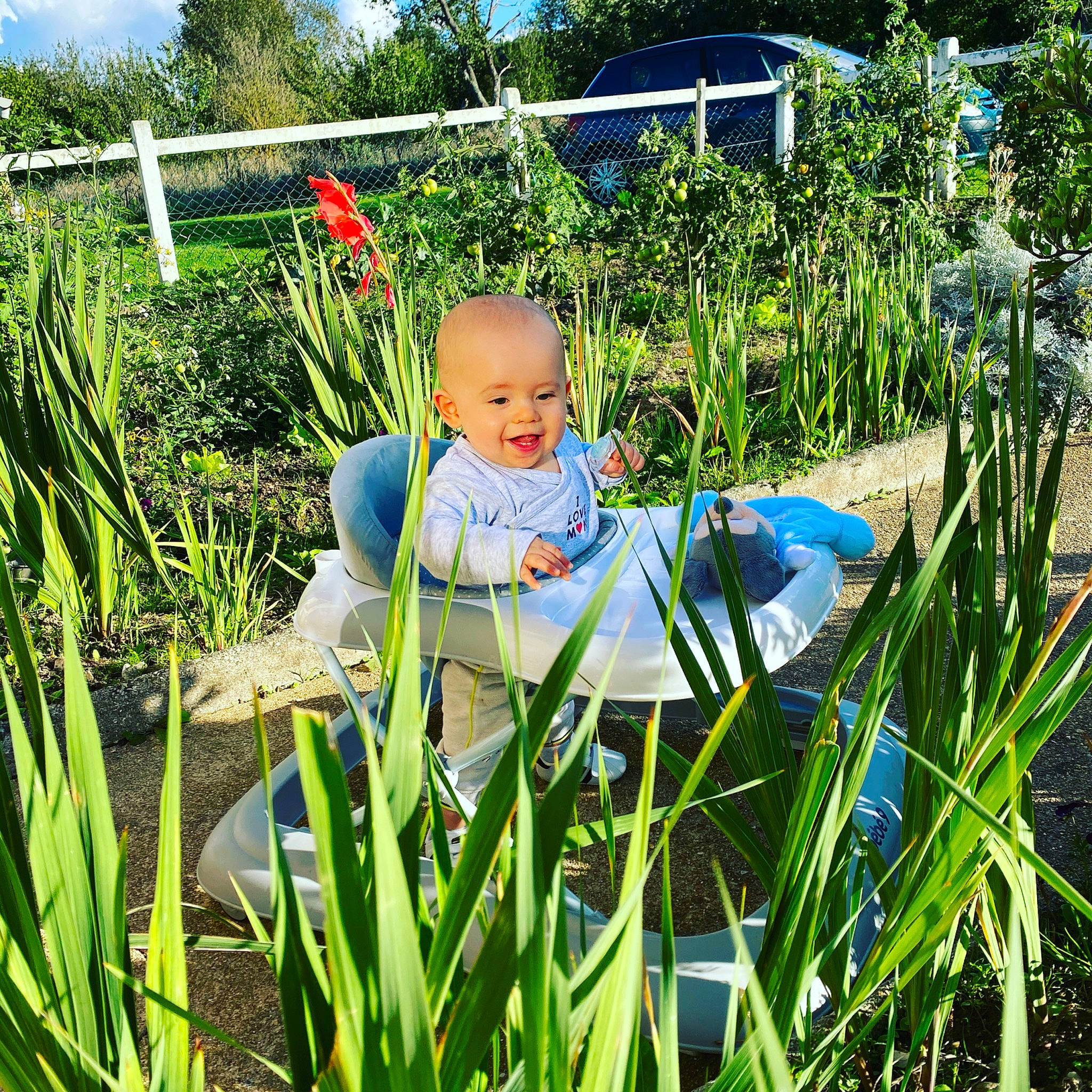 Sohan a rejoint le concours — aidez-le/la à gagner de superbes lots ! botany, child, flower, garden, grass, grass_family, iris, person, plant, pond, smile, toddler, vacation, wildflower