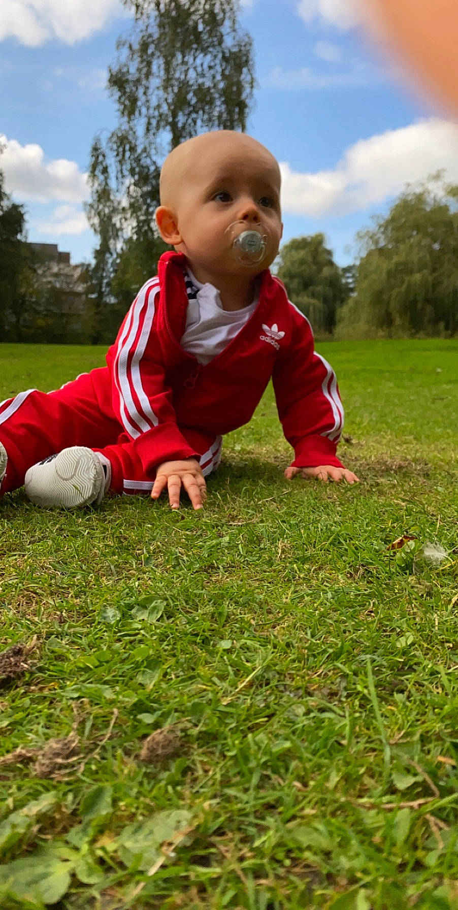 Sohan a rejoint le concours — aidez-le/la à gagner de superbes lots ! baby, child, crawling, grass, grass_family, lawn, leaf, meadow, outerwear, person, plant, play, toddler
