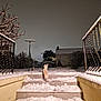 Branca participe au concours pour gagner de l'argent avec cette photo : animal, backyard, cold, curious, dog, fence, house, landscape, lighting, lonely, night, outdoor, pet, quiet, railings, snow, stairs, steps, tree, winter