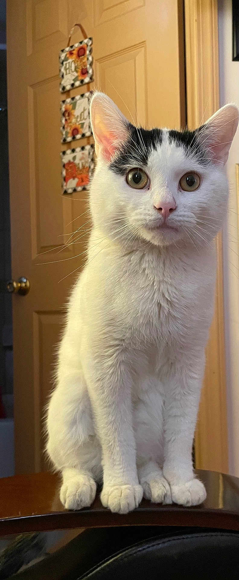 Binx