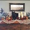 Lucian joined the competition — help win amazing prizes! black_cat, mantelpiece, candles, autumn_leaves, halloween_decor, pumpkin_decorations, wall_sconces, framed_painting, lighthouse, brick_wall, tablecloth, indoor, decorative_items, orange, fall_season, holiday, cat, pet, home_decor, curious