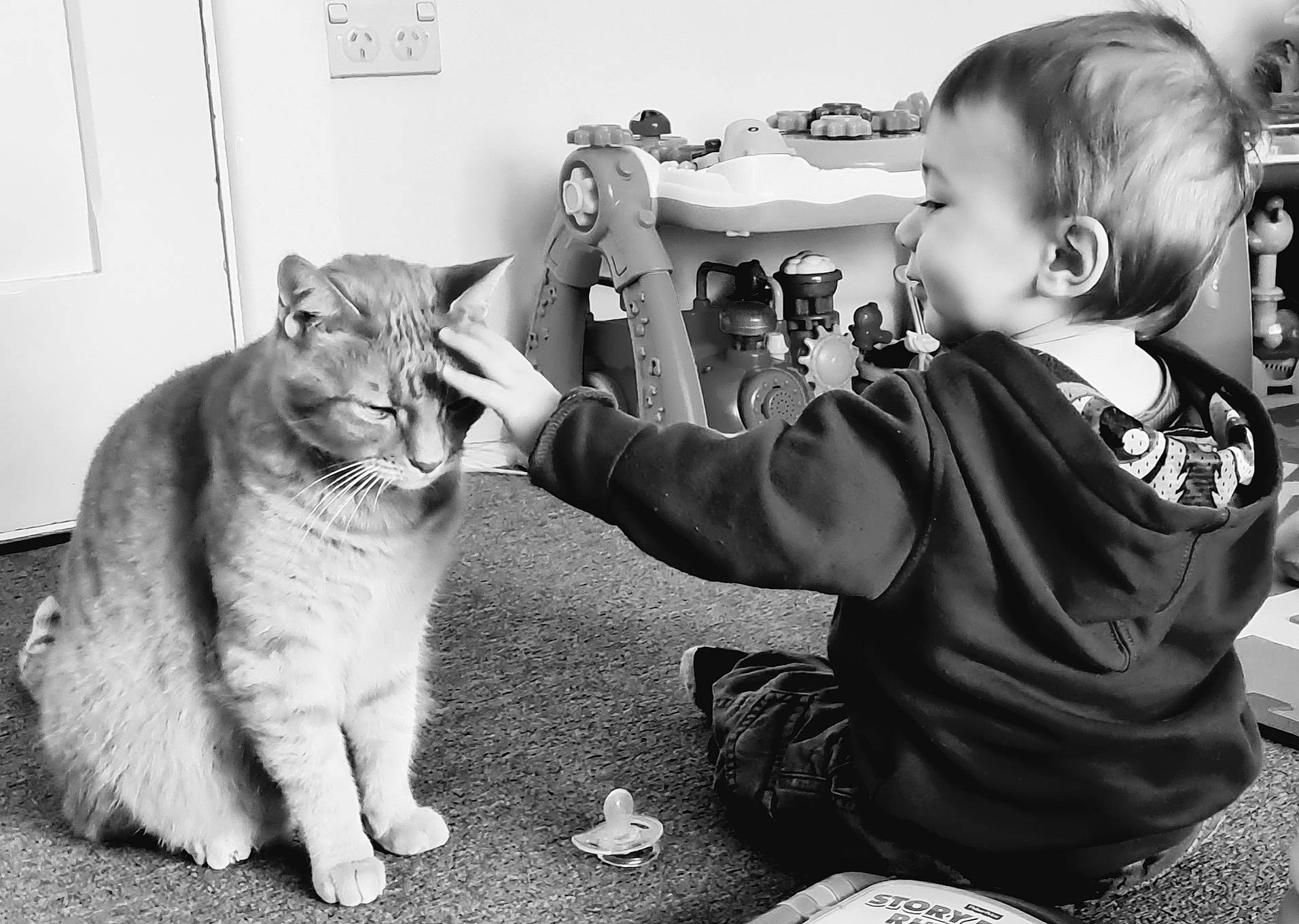 Geejay is registered to the contest to win money with this photo: asian, black_and_white, carnivore, cat, child, curious, domestic_short_haired_cat, ear, eye, facial_expression, felidae, laugh, monochrome, photography, small_to_medium_sized_cats, snapshot, style, tabby_cat, toddler, whiskers