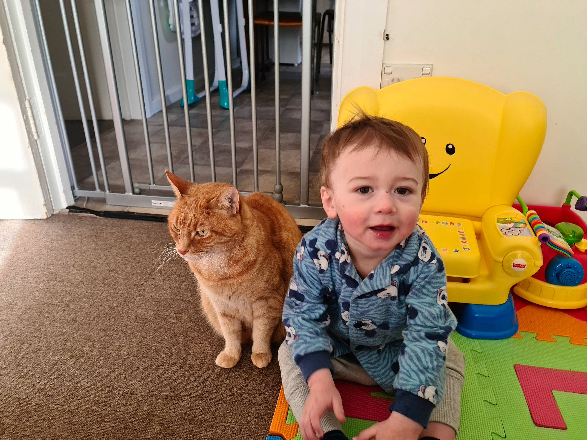 Geejay joined the competition — help win amazing prizes! baby, carnivore, cat, child, ear, eye, felidae, floor, kitten, nose, play, room, sitting, skin, small_to_medium_sized_cats, smile, toddler, toy, whiskers, yellow