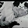 Olivia is registered to the contest to win money with this photo: baby, sleeping, tutu, bow, headband, blanket, soft, peaceful, cute, infant, newborn, foot, hand, resting, cozy, monochrome, portrait, child, adorable, calm