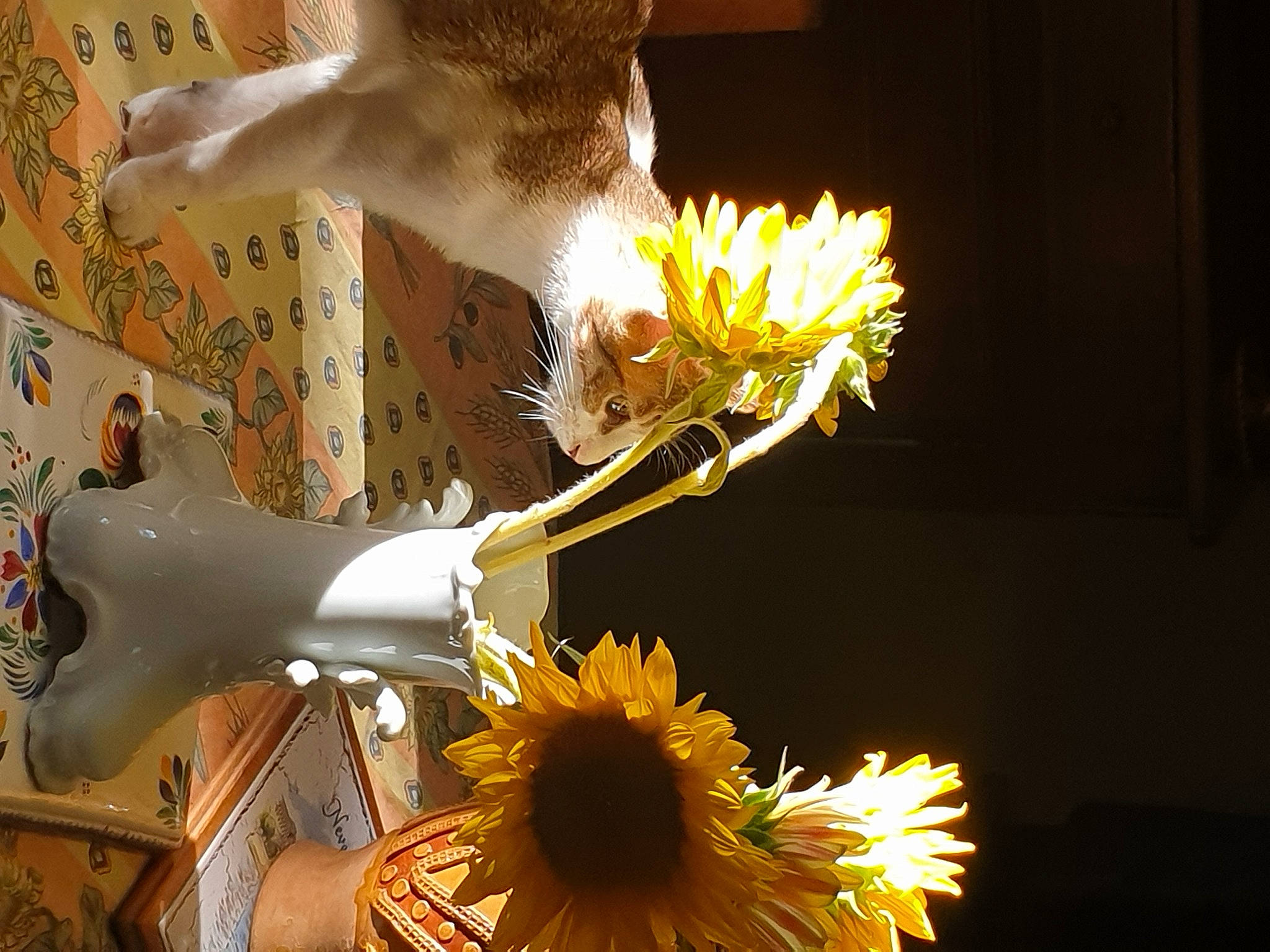 Toy participe au concours pour gagner de l'argent avec cette photo : artificial_flower, bouquet, camomile, cut_flowers, event, feather, floral_design, floristry, flower, flower_arranging, flowering_plant, happy, light, petal, plant, pollen, toy, wildflower, wing, yellow